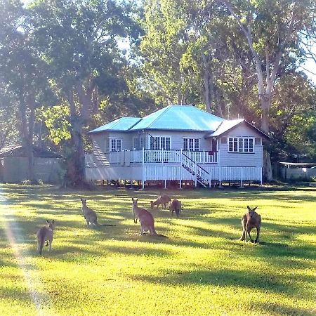 פרגיאן ביץ' Lake Weyba Noosa Lodge & Kangaroos מראה חיצוני תמונה