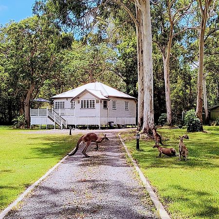 פרגיאן ביץ' Lake Weyba Noosa Lodge & Kangaroos מראה חיצוני תמונה