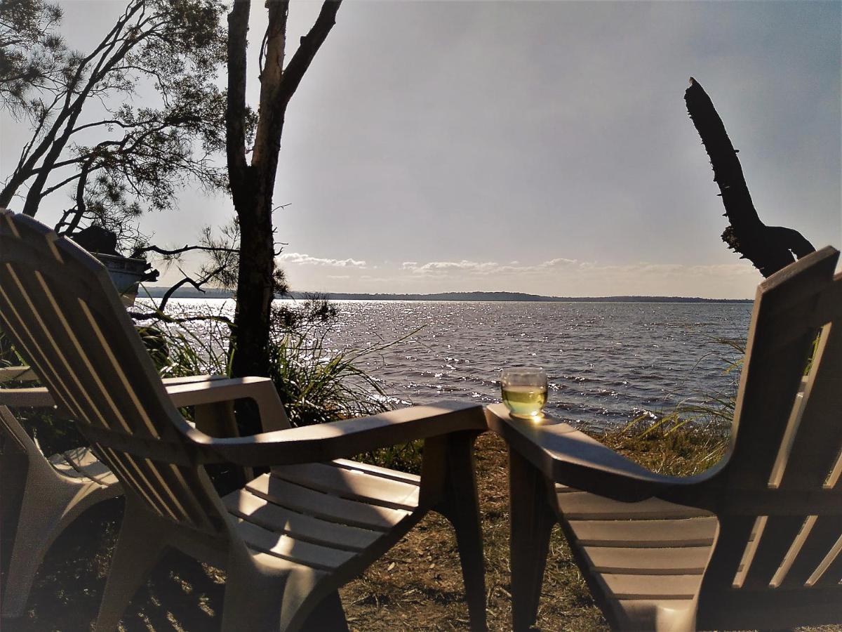 פרגיאן ביץ' Lake Weyba Noosa Lodge & Kangaroos מראה חיצוני תמונה