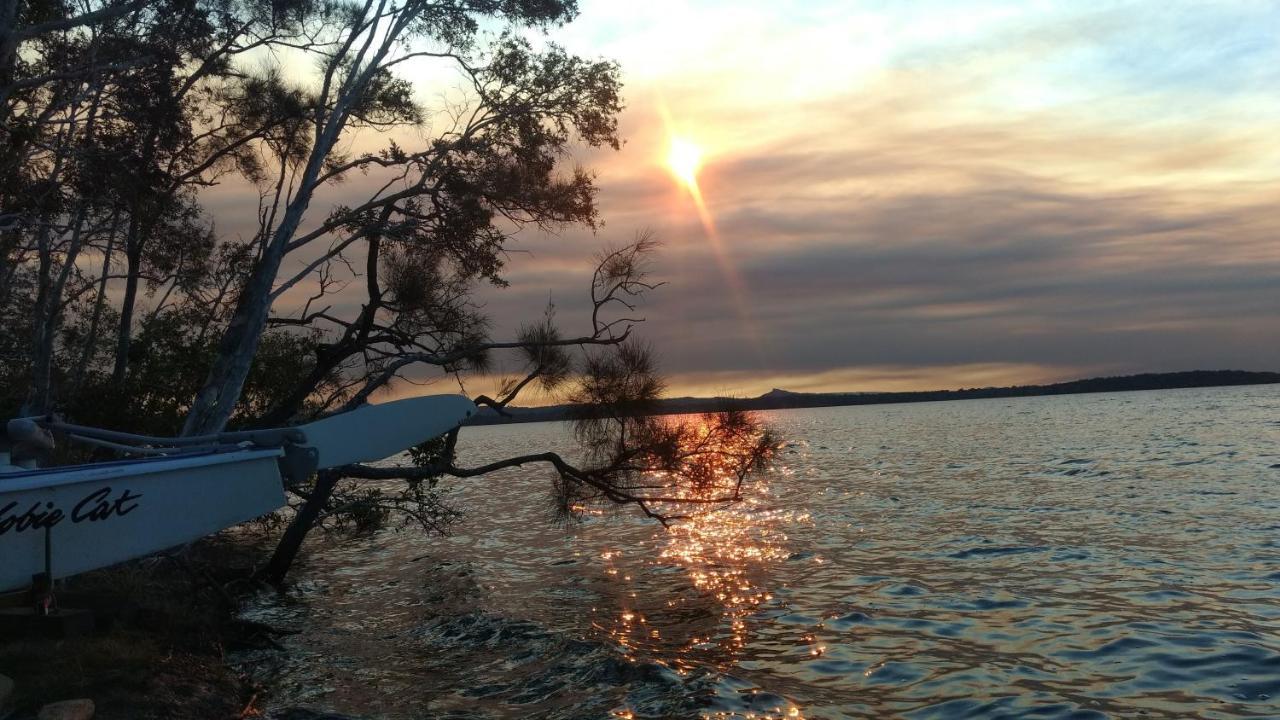 פרגיאן ביץ' Lake Weyba Noosa Lodge & Kangaroos מראה חיצוני תמונה