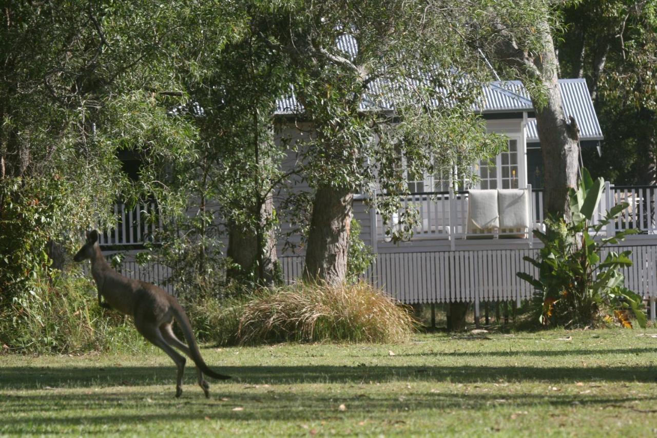 פרגיאן ביץ' Lake Weyba Noosa Lodge & Kangaroos מראה חיצוני תמונה