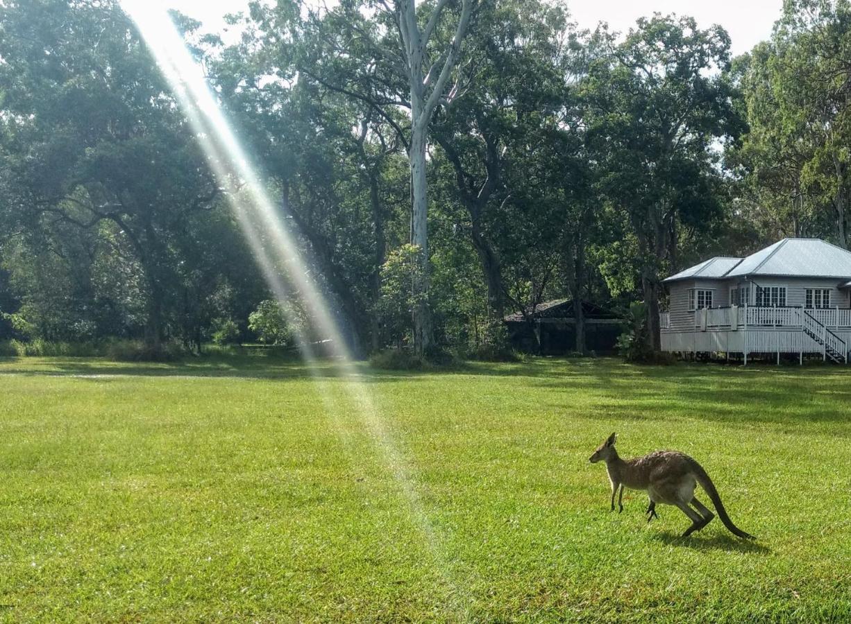 פרגיאן ביץ' Lake Weyba Noosa Lodge & Kangaroos מראה חיצוני תמונה