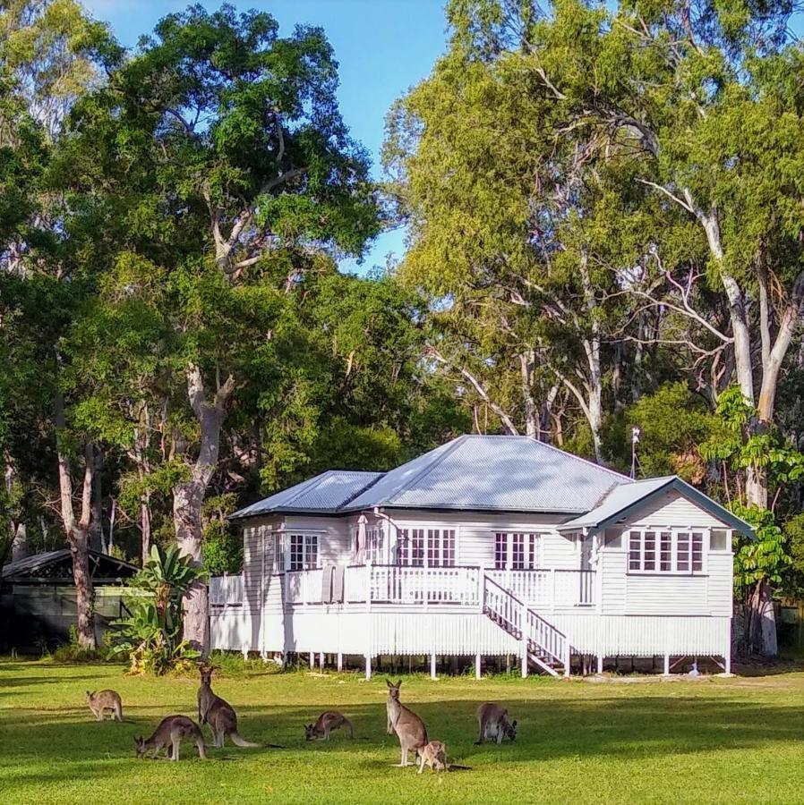 פרגיאן ביץ' Lake Weyba Noosa Lodge & Kangaroos מראה חיצוני תמונה