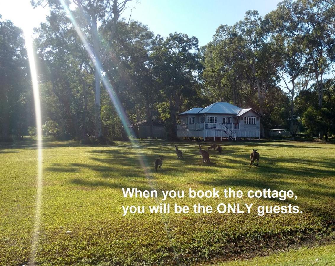 פרגיאן ביץ' Lake Weyba Noosa Lodge & Kangaroos מראה חיצוני תמונה