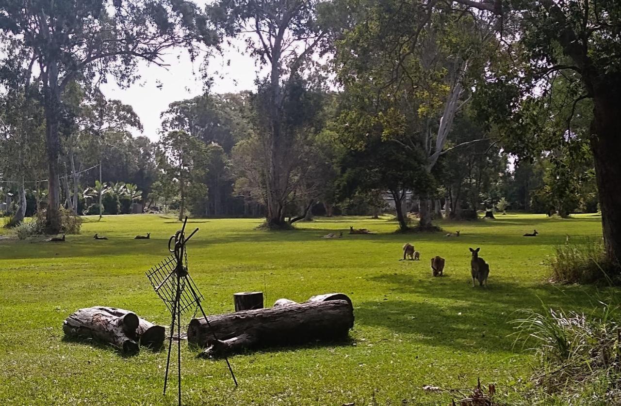 פרגיאן ביץ' Lake Weyba Noosa Lodge & Kangaroos מראה חיצוני תמונה