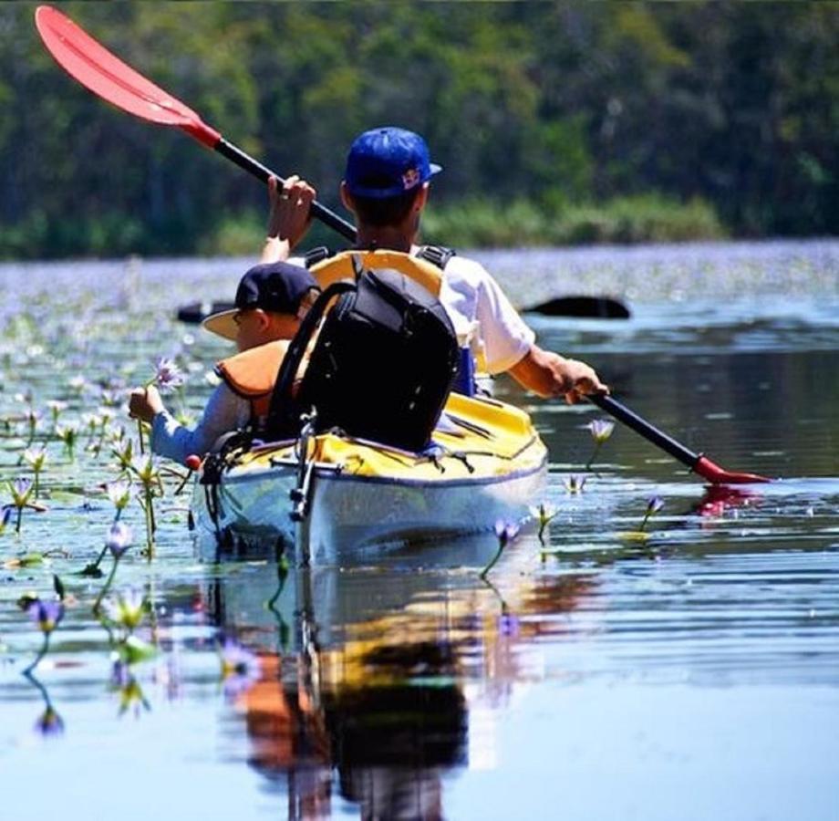 פרגיאן ביץ' Lake Weyba Noosa Lodge & Kangaroos מראה חיצוני תמונה