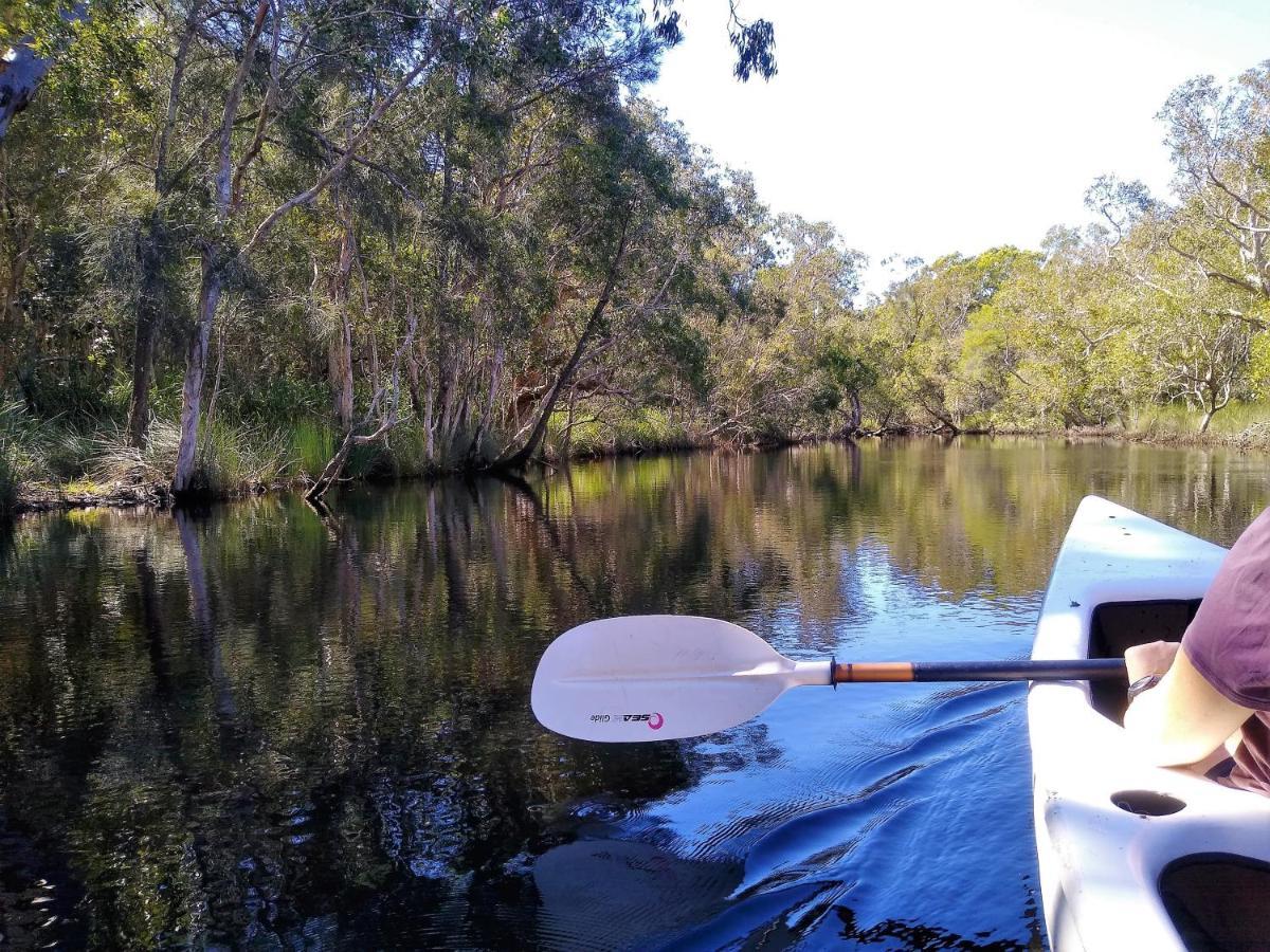 פרגיאן ביץ' Lake Weyba Noosa Lodge & Kangaroos מראה חיצוני תמונה