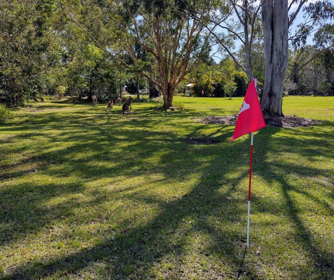 פרגיאן ביץ' Lake Weyba Noosa Lodge & Kangaroos מראה חיצוני תמונה