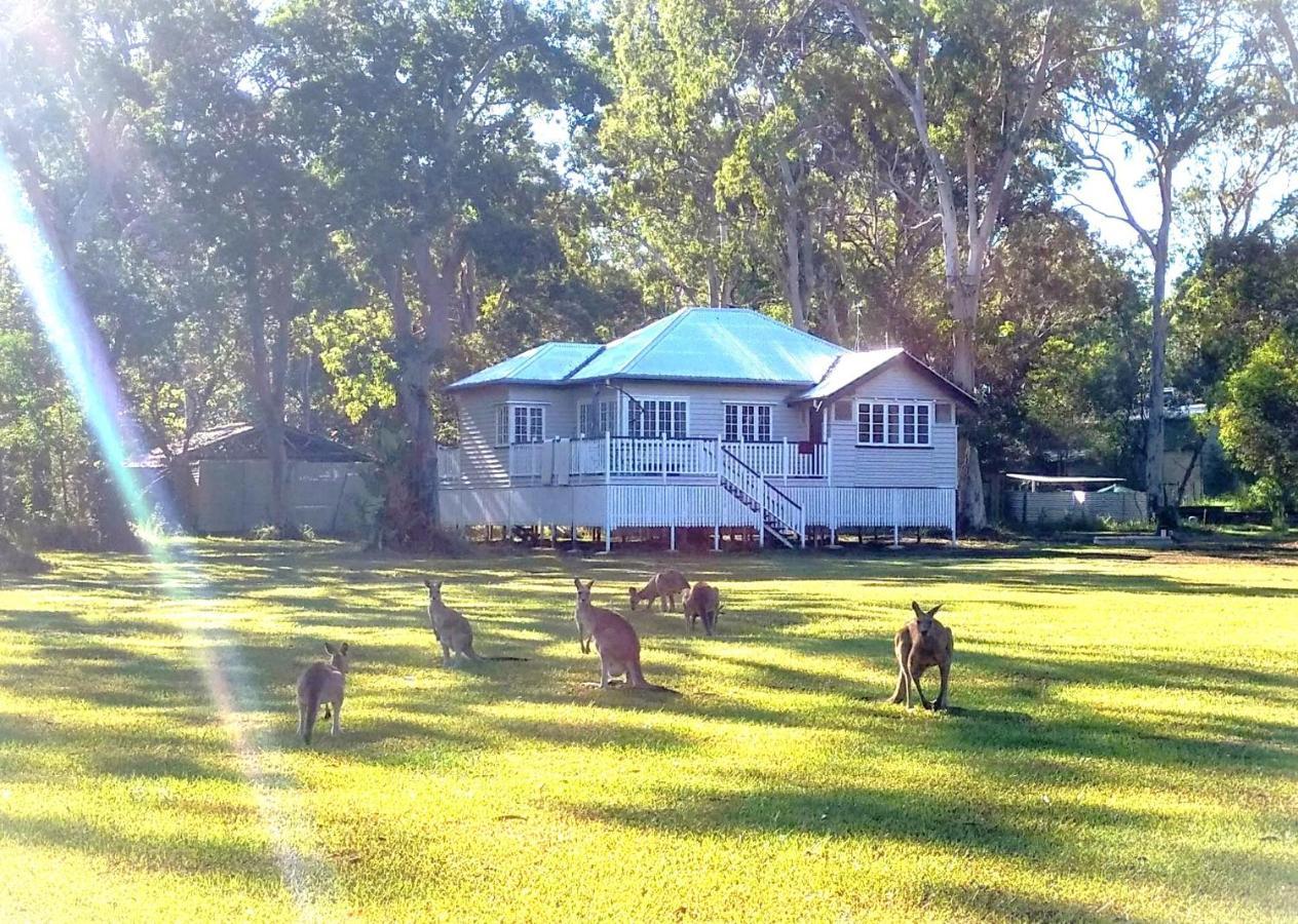 פרגיאן ביץ' Lake Weyba Noosa Lodge & Kangaroos מראה חיצוני תמונה