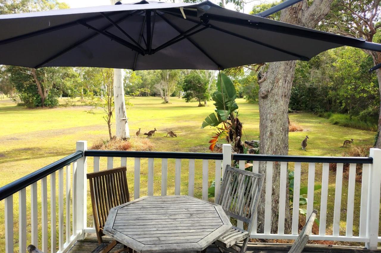 פרגיאן ביץ' Lake Weyba Noosa Lodge & Kangaroos מראה חיצוני תמונה