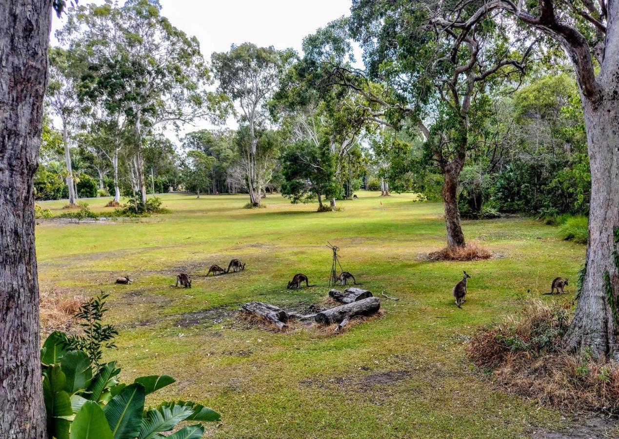 פרגיאן ביץ' Lake Weyba Noosa Lodge & Kangaroos מראה חיצוני תמונה