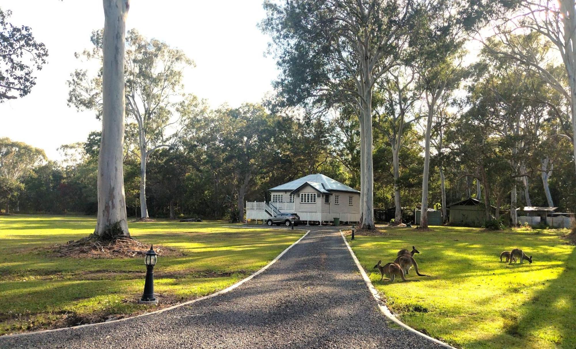 פרגיאן ביץ' Lake Weyba Noosa Lodge & Kangaroos מראה חיצוני תמונה