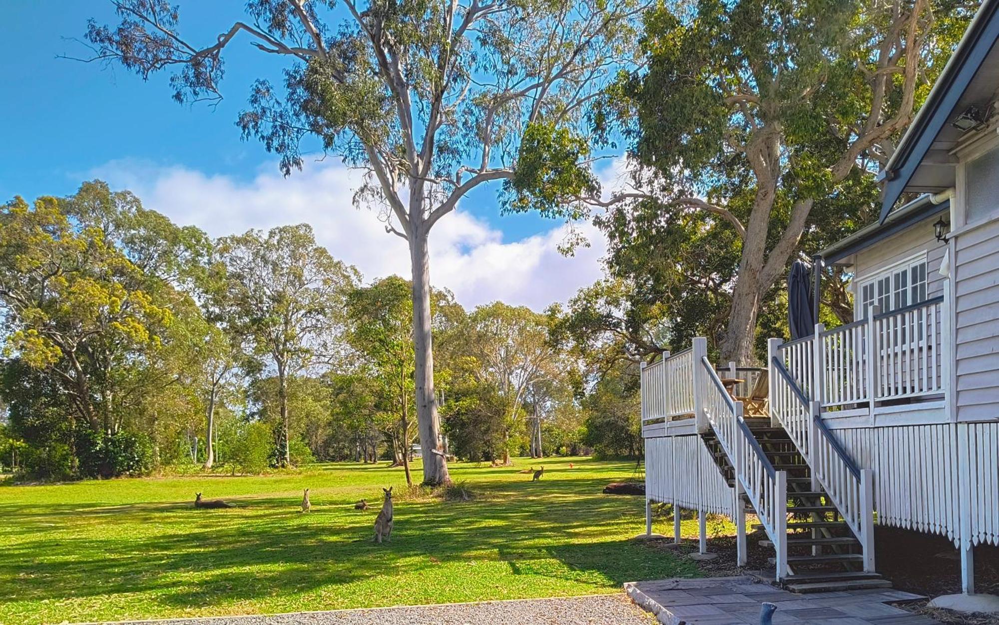 פרגיאן ביץ' Lake Weyba Noosa Lodge & Kangaroos מראה חיצוני תמונה